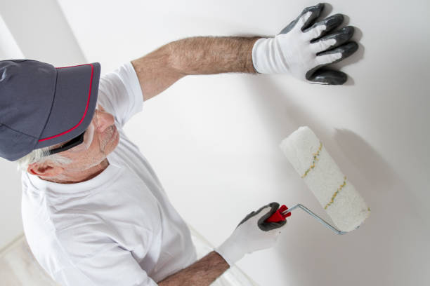 Best Industrial Mold Remediation  in Pecatonica, IL