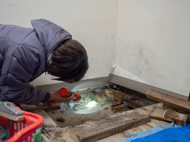 Best Residential Mold Inspection & Testing  in Pecatonica, IL