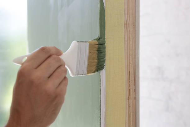 Best Basement Mold Removal  in Pecatonica, IL