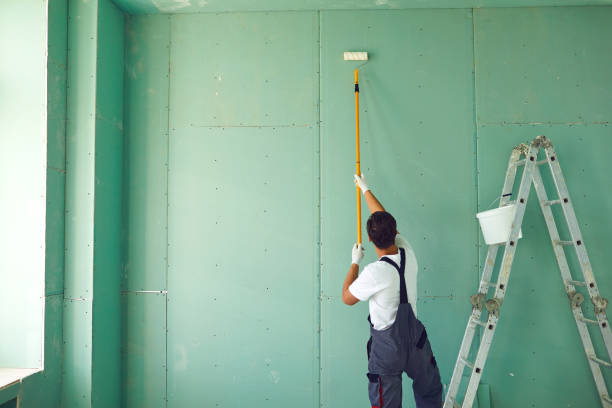 Best Mold Odor Removal Services  in Pecatonica, IL