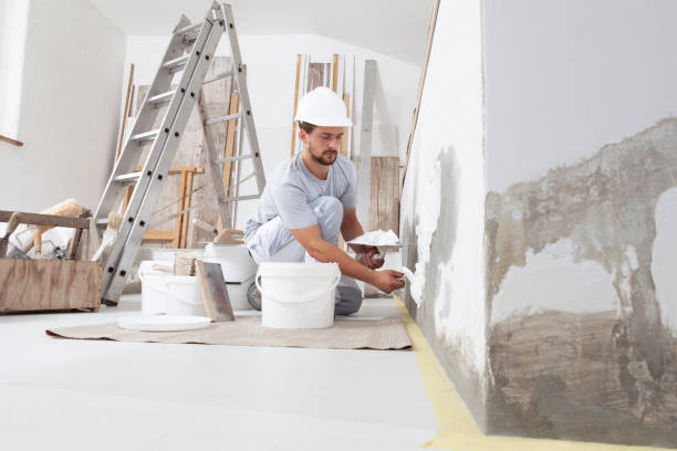 Mold Documentation for Insurance Claims in Pecatonica, IL