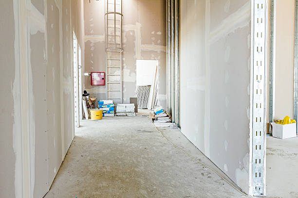 Best Black Mold Removal  in Pecatonica, IL